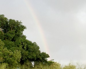 rainbow_small